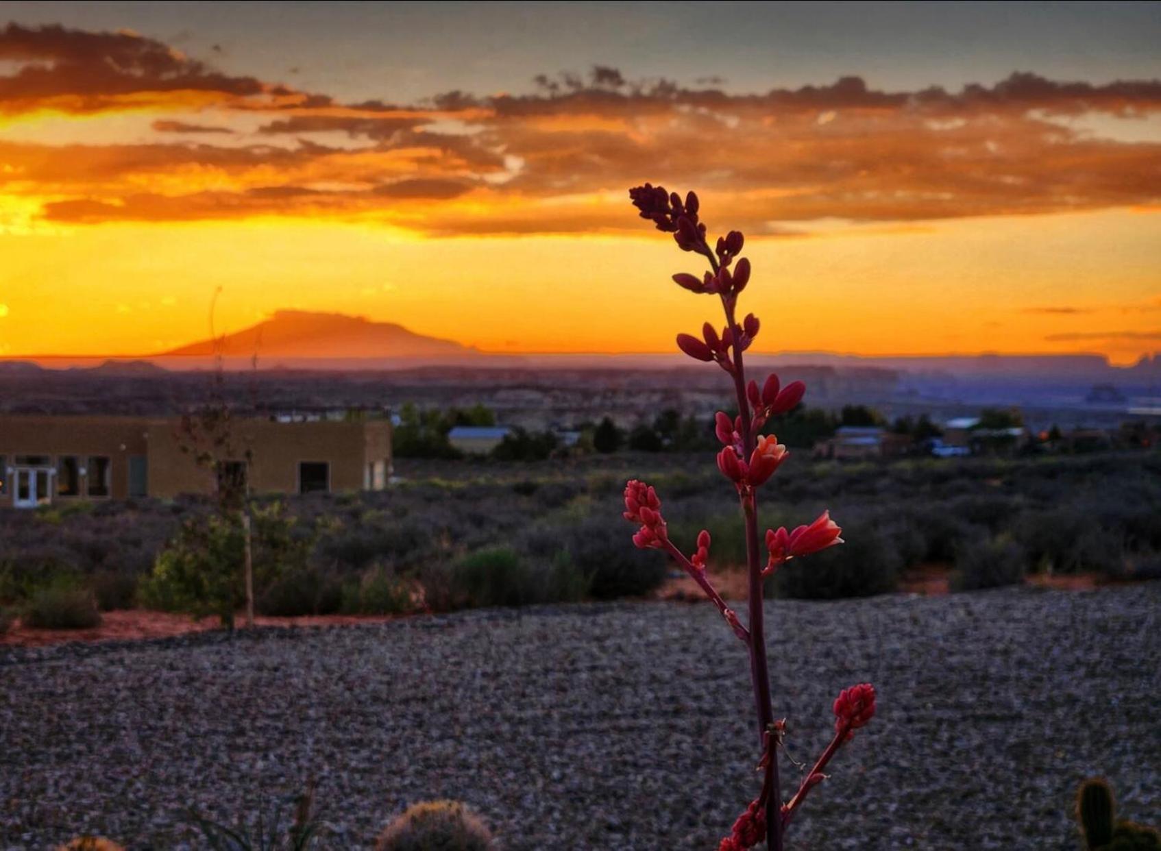 Page Arizona Border Town- Crimson Suite, Desert Canyon Getaway With Views Big Water Εξωτερικό φωτογραφία